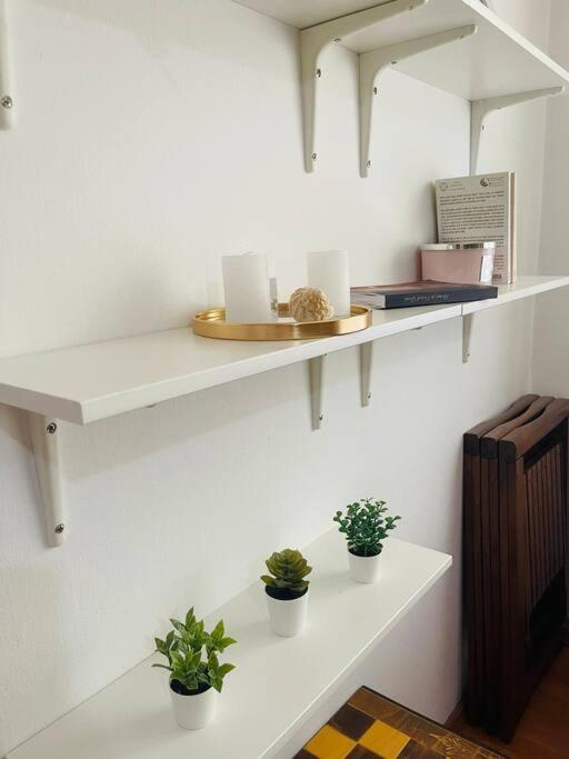 Appartement Chic Retreat Timişoara Extérieur photo