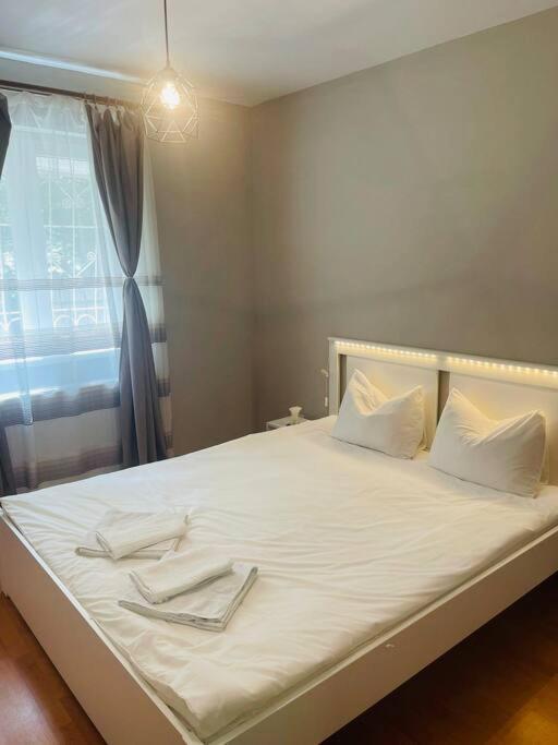Appartement Chic Retreat Timişoara Extérieur photo
